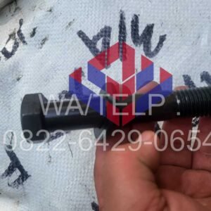 IMG-20250107-WA0028